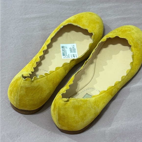 Suede Fabio Rusconi scalloped Ballet flats - Picture 12 of 13